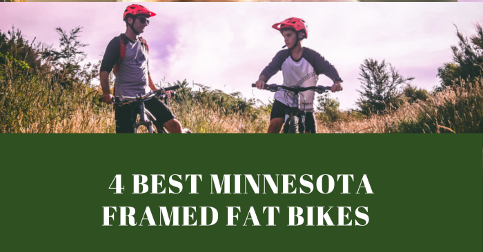 The 4 Best Minnesota Framed Fat Bikes