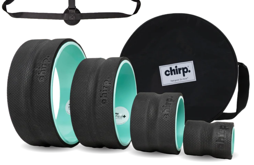 Chirp Wheel Best Exercises For Lower Back Pain Relief