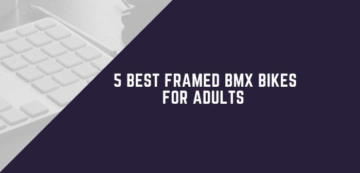 5 Best Framed BMX Bikes For Adults