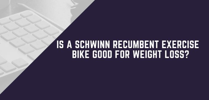 Is A Schwinn Recumbent Exercise Bike Good For Weight Loss?