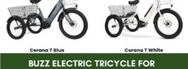 Buzz Electric Tricycle For Adults Review