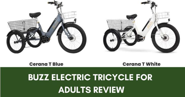 Buzz Electric Tricycle For Adults Review
