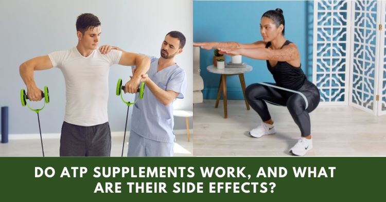 Do ATP Supplements Work, And What Are Their Side Effects?