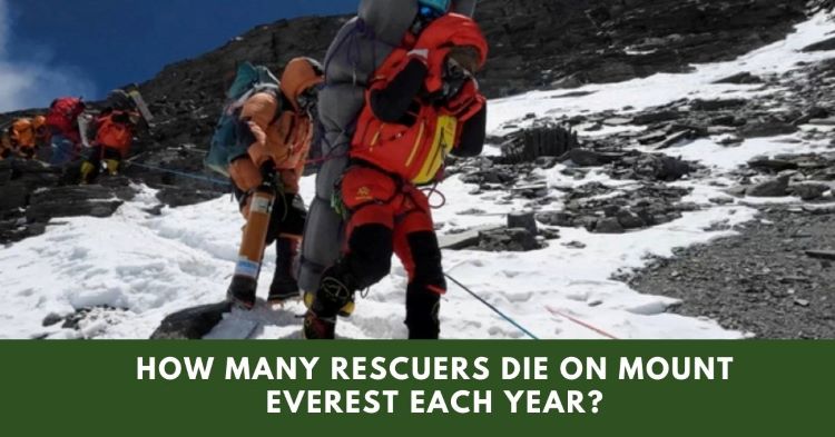 How Many Rescuers Die On Mount Everest Each Year?