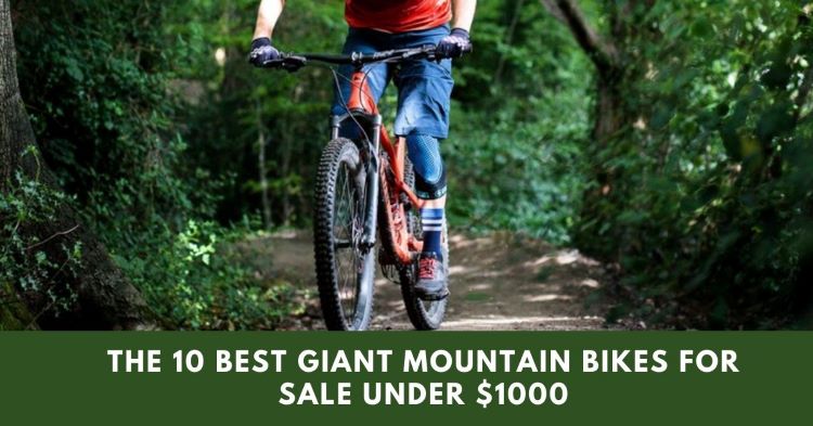 The 10 Best Giant Mountain Bikes For Sale Under $1000