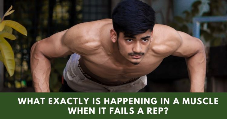 What Exactly Is Happening In A Muscle When It Fails A Rep?